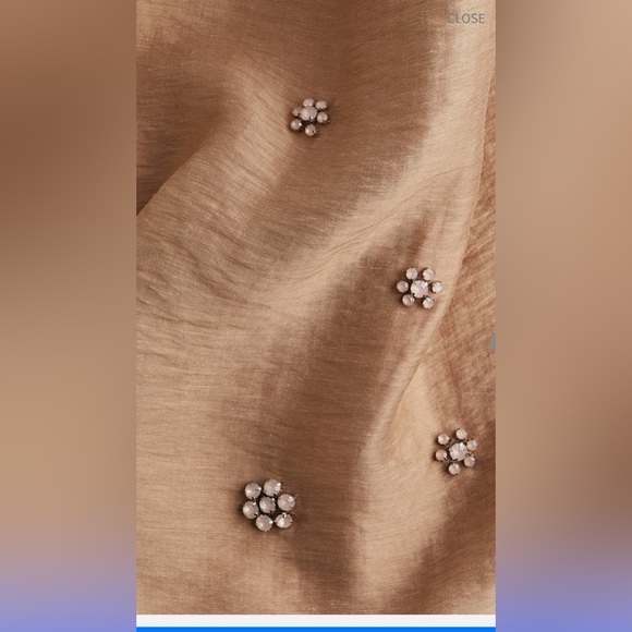 Elegant embellished sheer tan color Skirt - Picture 5 of 5